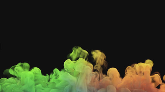 Silver/Rainbow PL Logo Resin Teardrop Earrings